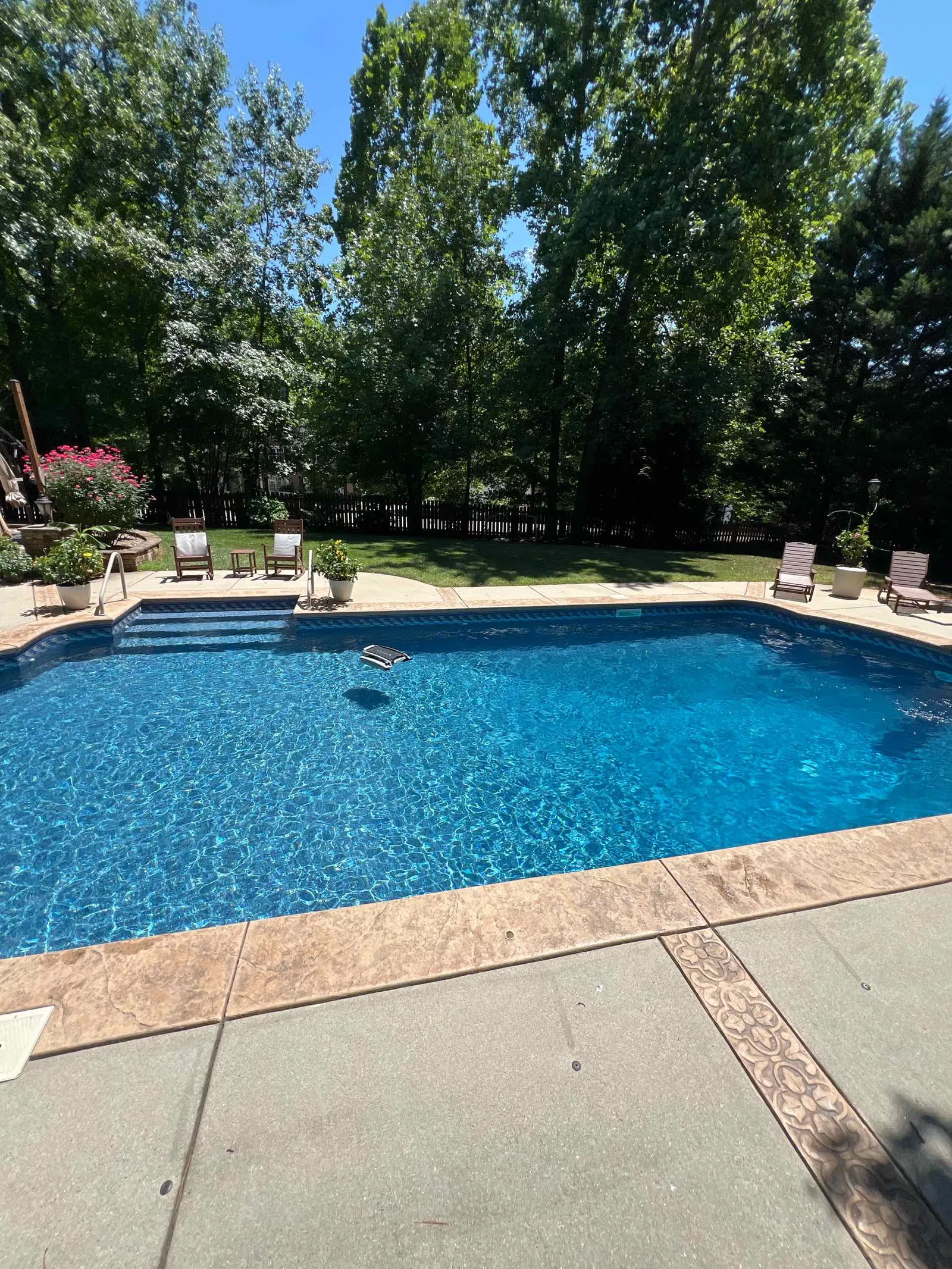 A residential backyard pool serviced by The Pool Collective